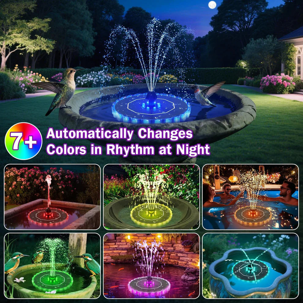 Pool Fountain
Lightshow