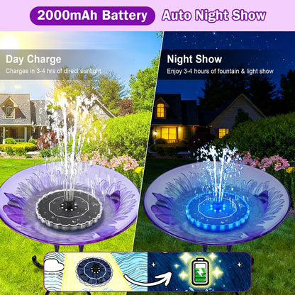 Pool Fountain
Lightshow