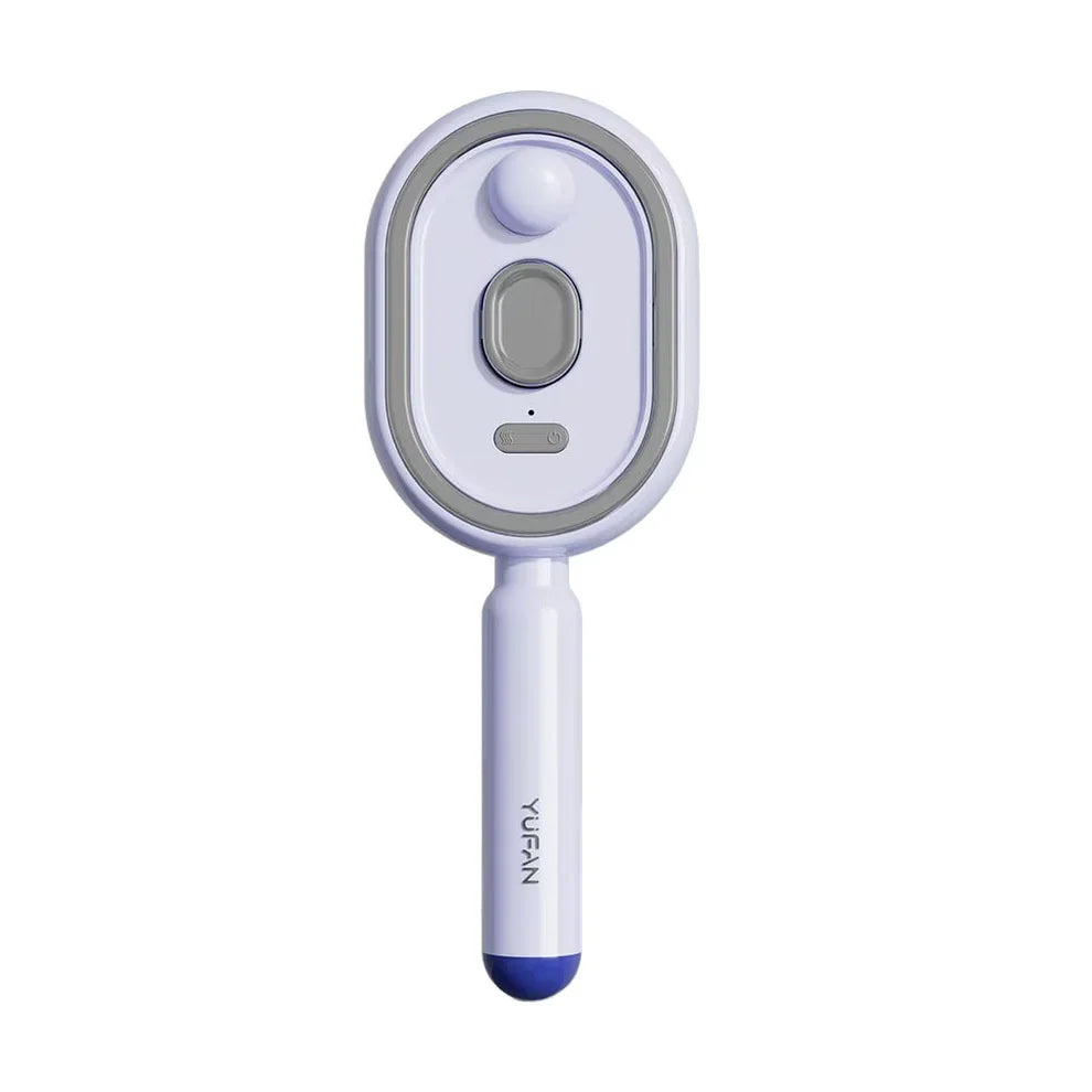 Electric Steam Brush