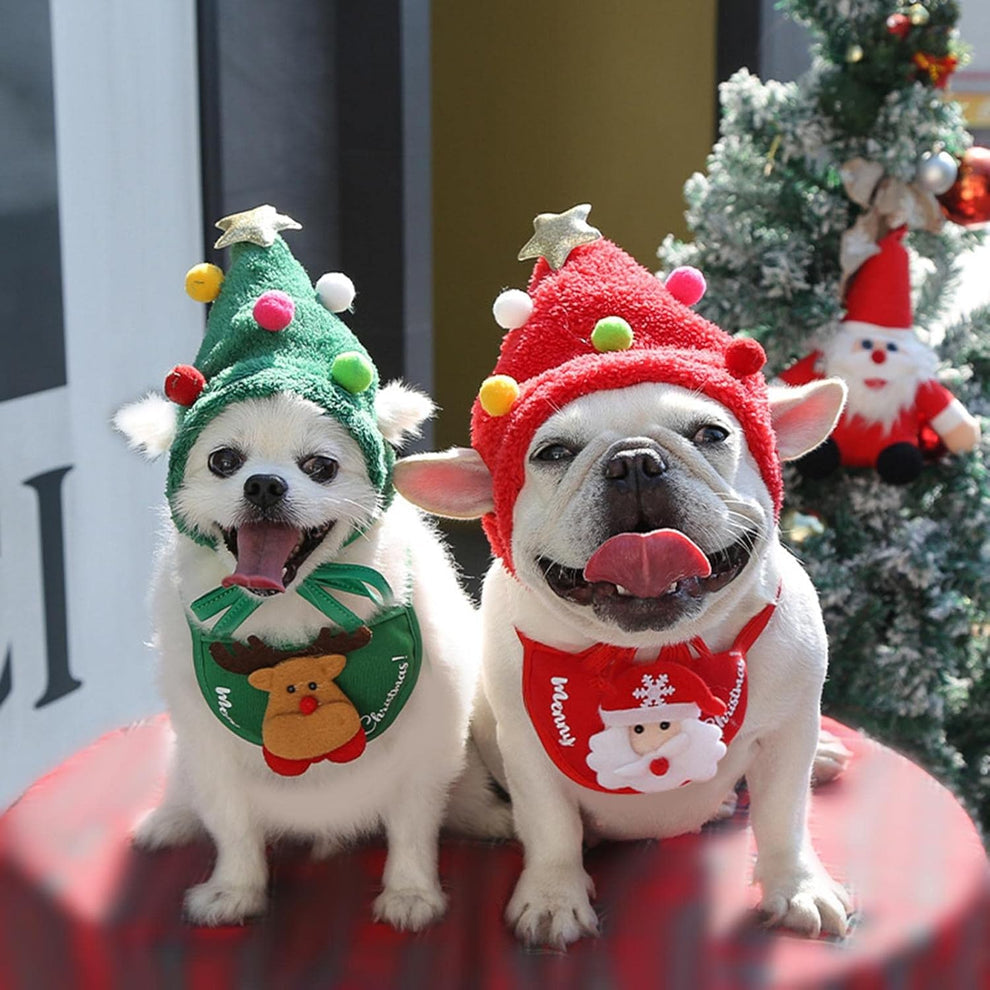 Holiday Pet Outfit (Hat
+ Scarf)