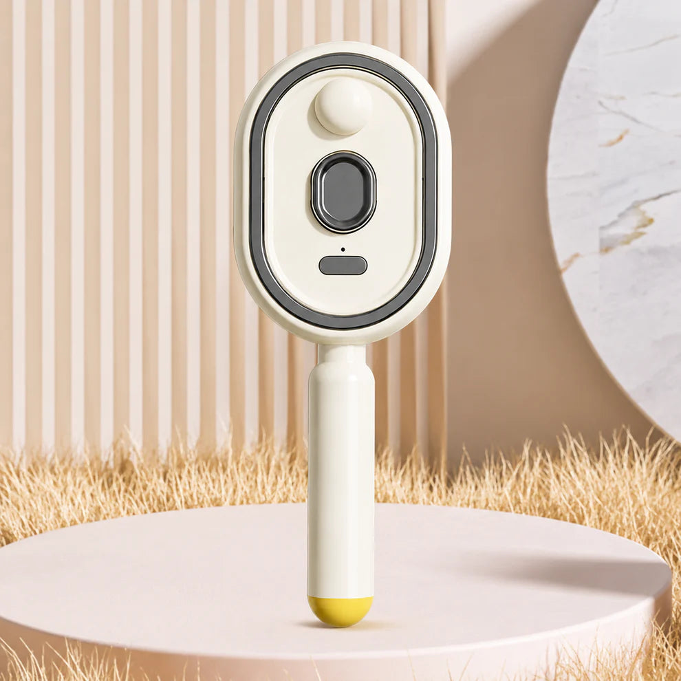 Electric Steam Brush