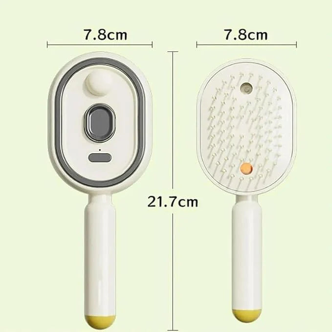 Electric Steam Brush